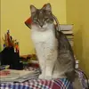 Отзыв от Жанна Сальникова